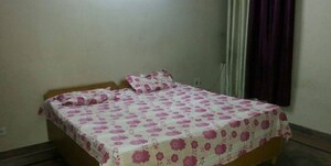  Pg For Rent in Sector 19