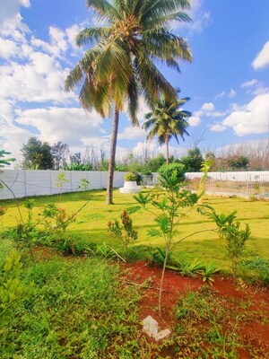 Plot – Exterior View View at Hoskote - for Sale