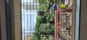 1 BHK Apartment – Exterior View View at Sunbeam Apartments Malad, Malad West - for Rent
