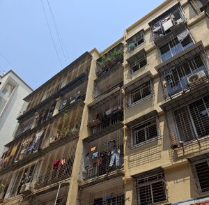 1 BHK Apartment For Rent in Mahavir Varsha, Ghansoli
