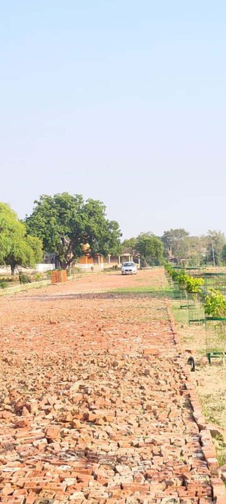 undefined, sultanpur road  1000 Sq.Ft. Plot In Sultanpur Road Lucknow 10665907