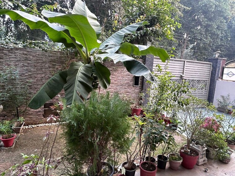 Garden, sector 15 3.5 Bedroom 2900 Sq.Ft. Builder Floor In Sector 15 Gurgaon 10666377