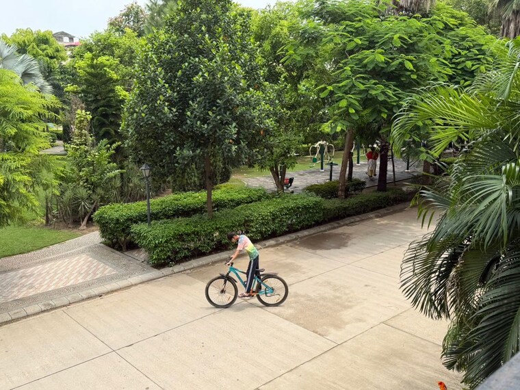 Garden, dlf-central-square  350 Sq.Yd. Plot In North Mullanpur Chandigarh 10666423