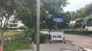  Plot – Exterior View View at DLF Central Square, North Mullanpur - for Sale