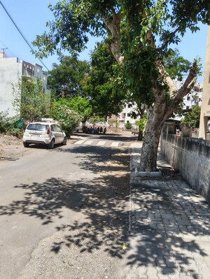  Apartment For Sale in Dharam Nagar