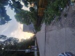 3250 Sq.Ft. Land in Gomti Nagar