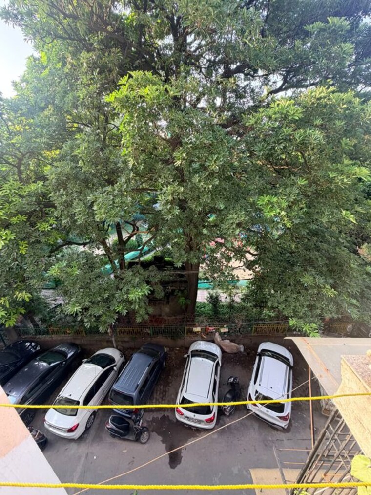 Garden, malviya nagar 2 Bedroom 900 Sq.Ft. Builder Floor In Malviya Nagar Delhi 10667381