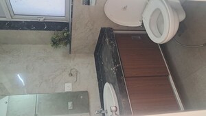 Bathroom in 2 BHK Apartment at L&T Crescent Bay T2, Parel – for Rent