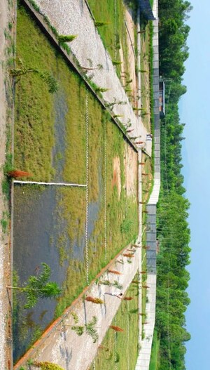  Plot – Exterior View View at Behat Road - for Sale