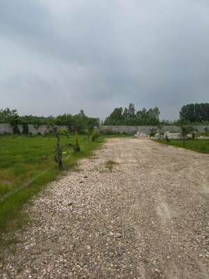  Plot For Sale in Behat Road