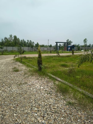Plot Area in  Plot at Behat Road – for Sale
