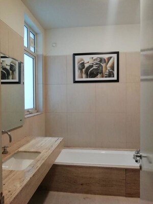 Bathroom in 2 BHK Apartment at Ireo Victory Valley, Sector 67 – for Rent