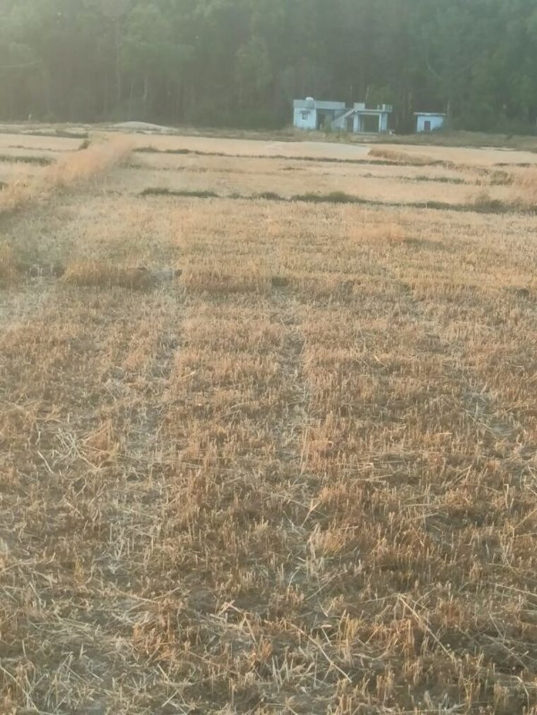 undefined, sherpur  100 Sq.Yd. Plot In Sherpur Dehradun 10667665