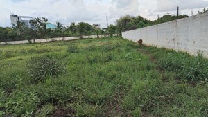  Plot For Sale in Vasai West