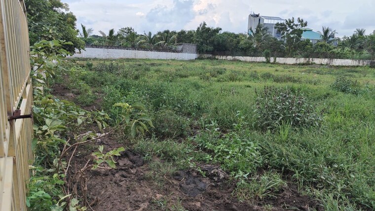 undefined, vasai west  2600 Sq.Ft. Plot In Vasai West Palghar 10667709