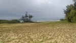25 Acre Land in Vengurla