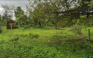 Plot Area in  Plot at Vasai West – for Sale