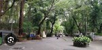 1007 Sq.Yd. Plot in Pali Hill