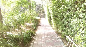 6 BHK Independent House For Sale in Vasant Vihar