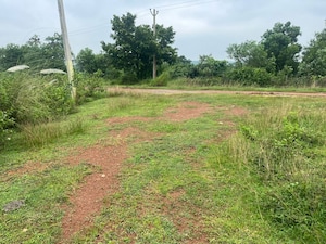 Plot Area in  Plot at Kantabada – for Sale