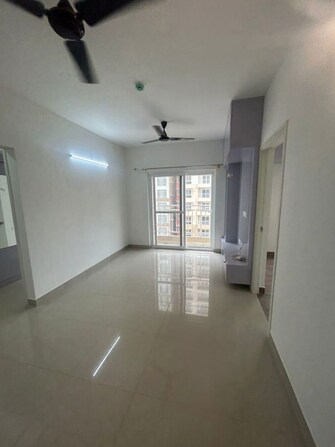 3 BHK 971 Sq.Ft. Apartment in Brigade El Dorado