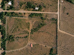  Plot For Sale in Sambhaji Nagar