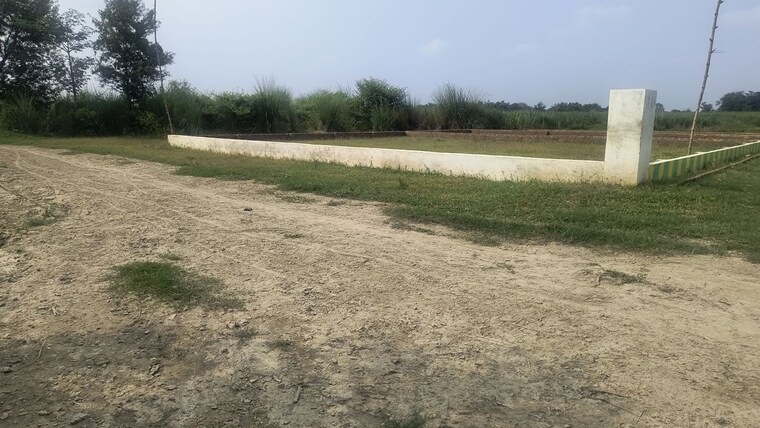 undefined, sarethi  1000 Sq.Ft. Plot In Sarethi Ayodhya 10668001