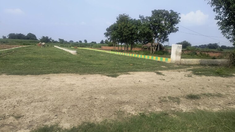 undefined, sarethi  1000 Sq.Ft. Plot In Sarethi Ayodhya 10668001