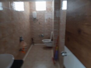 Bathroom in 2 BHK Apartment at White Lily Residency, Sonipat Road – for Rent