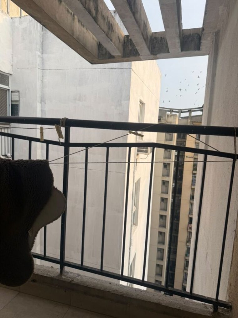Balcony, aditya-world-city 3 Bedroom 1125 Sq.Ft. Apartment In Shahpur Bamheta Ghaziabad 10665218