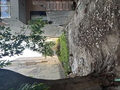 Plot For Sale in Palam Vihar