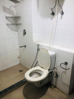 Bathroom in 2 BHK Apartment at BPTP Park Grandeura, Sector 82 – for Rent