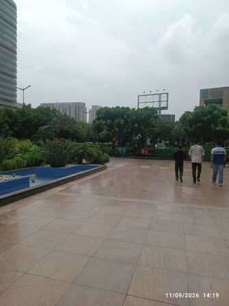 3.5 BHK +  2895 Sq.Ft. Apartment in Parsvnath Exotica