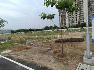 Plot Area in  Plot at Assotech The Canopy, Sain Vihar – for Sale