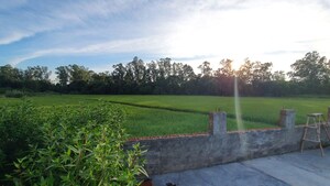 Plot Area in  Plot at Ghazipur – for Sale