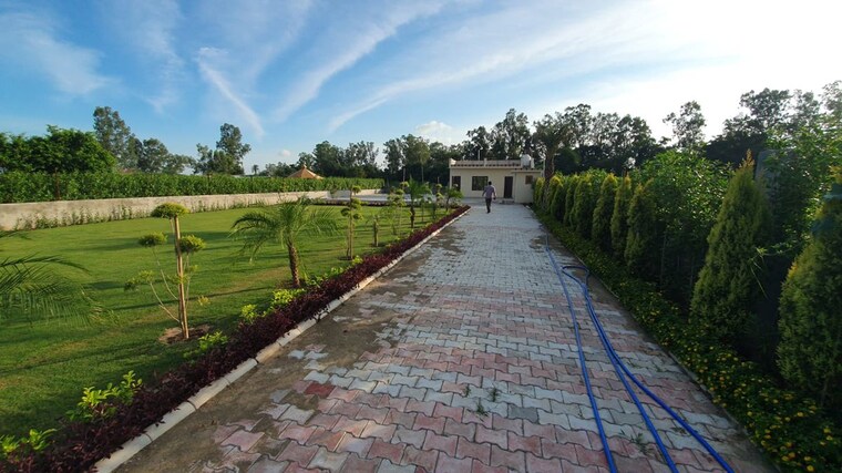 Swimming Pool, ghazipur  1400 Sq.Yd. Plot In Ghazipur Zirakpur 10668973