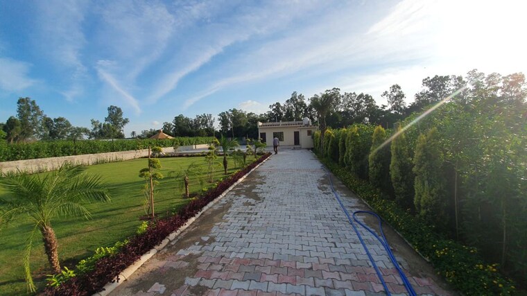 Swimming Pool, ghazipur  1400 Sq.Yd. Plot In Ghazipur Zirakpur 10668973