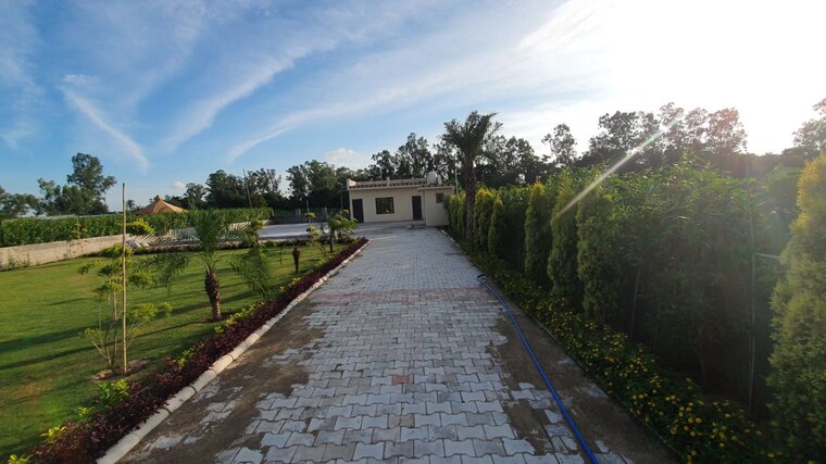 Swimming Pool, ghazipur  1400 Sq.Yd. Plot In Ghazipur Zirakpur 10668973