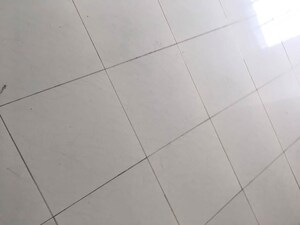 Bathroom in 3 BHK Apartment at Siddhivinayak Ginger, Pimple Saudagar – for Rent