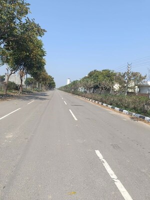Plot Area in  Plot at GMADA Eco City, North Mullanpur – for Sale