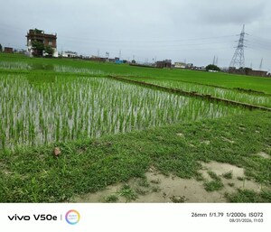  Plot – Exterior View View at Dwarika Dham, Ramnagar - for Sale