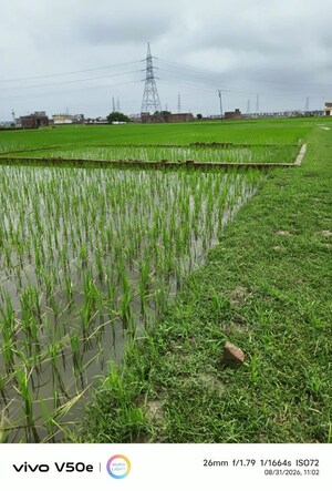  Plot – Garden View at Dwarika Dham, Ramnagar - for Sale