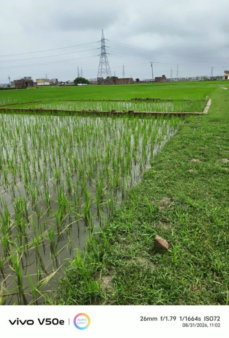 Garden, dwarika-dham  900 Sq.Ft. Plot In Ramnagar Varanasi 10669100