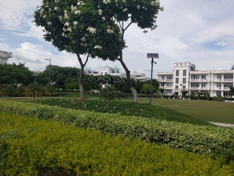 Garden, omaxe-new-chandigarh  300 Sq.Yd. Plot In North Mullanpur Chandigarh 10669119