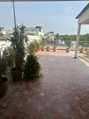 Terrace in 3 BHK Builder Floor at Greater Kailash – for Rent