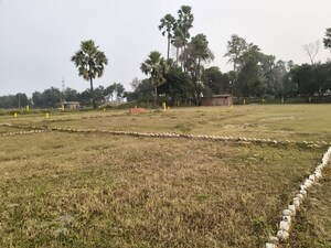 Plot Area in  Plot at Naubatpur – for Sale