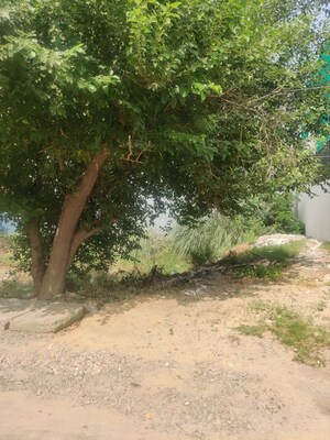  Plot – Garden View at Sector 27 - for Sale