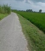 53550 Sq.Ft. Plot in Mirapur