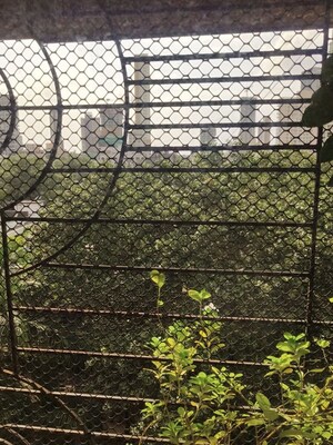 3 BHK Apartment – Garden View at Mahim - for Sale