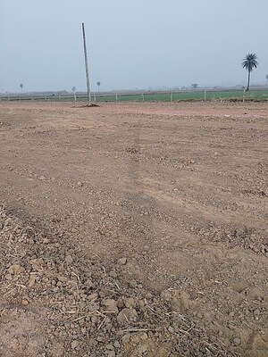 Plot Area in  Plot at Bhondsi – for Sale